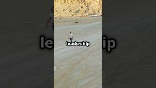 Moses Lonely Leadership Journey [upl. by Eppilihp716]