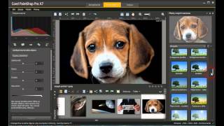 Corel Paintshop Pro X7 X8 X9 2018 2019 2020 2021 2022 2023 Spolszczenie [upl. by Mayhew648]