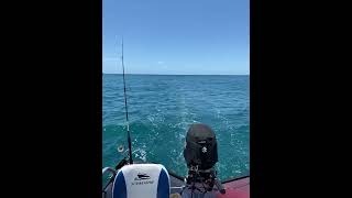 Trolling off Great Keppel Island [upl. by Aihsa]