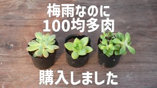 26『購入後のお手入れ方法』教わりました [upl. by Kiehl849]