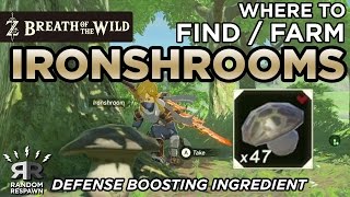 Zelda Breath of the Wild  Where to FindFarm Ironshrooms Defense Boosting Ingredient [upl. by Aneryc]