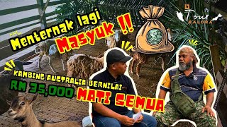 DAUN NI KAMBING TAK BOLEH MAKAN  TOUR BALORA  EP 1 [upl. by Clarhe256]