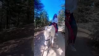 music remix bass bassboosted beats cutebaby horseriding naldehra [upl. by Anyala]