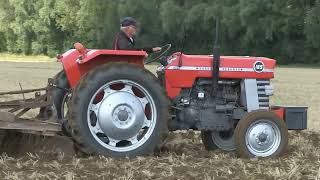 MASSEY FERGUSON 165 AND 135 TRACTORS CULTIVATING [upl. by Albers]