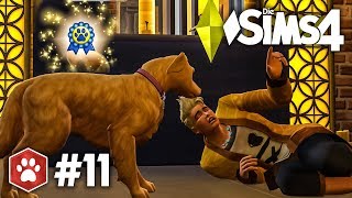 Spiel mit dem Tod  Lets Play Die Sims 4 Hunde amp Katzen 11 [upl. by Adnolahs]