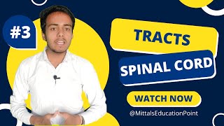 Tracts of the Spinal Cord  Ascending and Descending Tracts  Mittalquots Education Point [upl. by Coke]