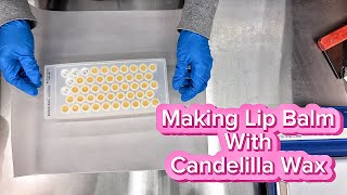 Making Lip Balm With Candelilla Wax [upl. by Niliak167]