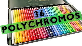 36 FaberCastell Polychromos Colored Pencils Unboxing and Color Order [upl. by Portwine]