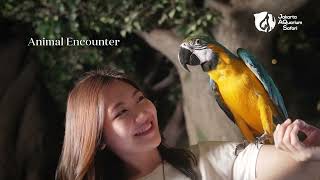 quotAll Experiences Under One Roofquot by Jakarta Aquarium amp Safari [upl. by Spring849]