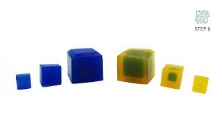 Agar Cubes [upl. by Mcdade]