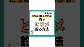 春のヒラメを釣る方法‼️釣り 海釣り 魚釣り 釣り初心者 ルアーフィッシング ルアー釣り 釣り好き 釣りスタグラム 釣り人 ヒラメ ヒラメ釣り サーフフィッシング [upl. by Ecenahs]