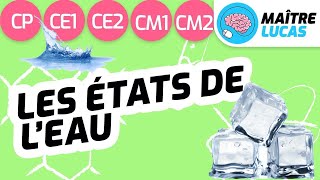 Les différents états de leau CE2  CP  CE1  CM1 Cycle 2  Cycle 3  Sciences Questionner le monde [upl. by Asilrahc]