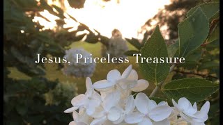 Jesus Priceless Treasure Official Lyric Video Renee Allsbrook Music [upl. by Luckett754]