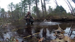 Wachusett Reservoir Salmon Fishing [upl. by Trawets607]