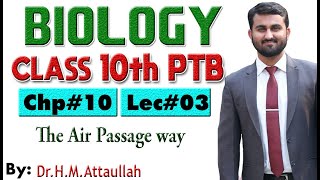 The Air Passage way  Gaseous exchange in humans  Chapter  10  Biology Class 10th Lec  3 [upl. by Liamaj]