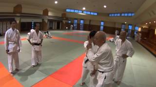 Okinawa Aikikai Ota Sensei Aikido Basic Techniques  太田先生沖縄合気会基本の技 [upl. by Oni688]