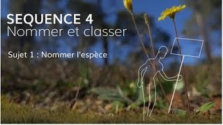 Séquence 4 sujet 1  Nommer l’espèce [upl. by Anila]