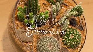 Make a Cactus Terrarium  How To Terrarium ep 4 [upl. by Ecinaj134]