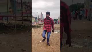 Gazole public rooting video sorts dance vlog ytshortsvideo sorts [upl. by Greeley438]