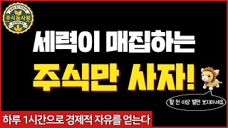 2월 16일 세력주 분석이월드 HLB생명과학 빅텍 더존비즈온 알서포트 오킨스전자 인탑스 HLB제약 스페코 엠케이전자 에스트래픽 메가엠디 세종공업 공구우먼 [upl. by Atilol465]