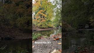 Bronxville NY Parks [upl. by Leslee54]