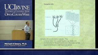 Psych 9A Psych Fundamentals Lecture 13 Color Opponency Perception Part 1 [upl. by Vachil815]