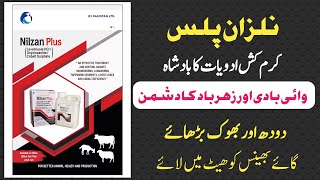 Nilzan Plus  Deworming کیسے کروائیں  Nilzan Se وائی بادی اور میٹھا زہر ختم  Best Dewormers [upl. by Burd462]