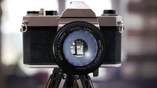 Rolleiflex T 51 выпуск Учимся работать с фотоплёнкой [upl. by Atnauqal]