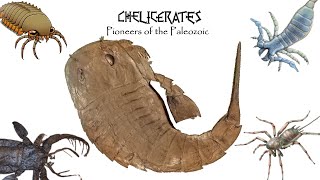 CHELICERATES Pioneers of the Paleozoic [upl. by Tahpos205]