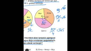 SUPARA ALFA DENEME TYT MATEMATİK ÇÖZÜMLERİ 2 [upl. by Eissej773]