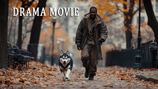 Full movie drama  A meeting that changed their lives  Adventure comedy best movies🎬🎥 [upl. by Everett]