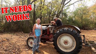 PREPPING FOR CHICKENS AND HOGS farm tiny house homesteading RV life RV living [upl. by Eehtomit]