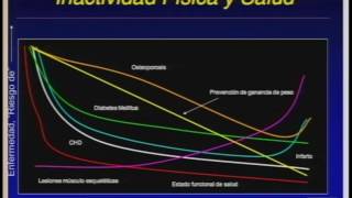 3 3 Prescripción del ejercicio físico en el adulto mayor [upl. by Neenaej]