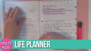 How I Use my Life Planner  Catch All Brain Dump Journal  An Organised Mess [upl. by Osher]