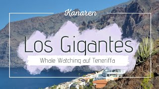 Los Gigantes Teneriffa 4K [upl. by Horgan845]