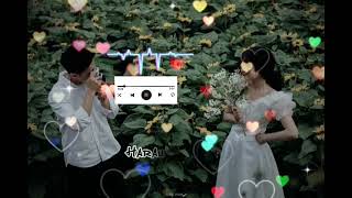 TIMRO MAYA MA CHEWANG LAMA  LYRICS VIDEO  TRANDING SONG [upl. by Ahse523]