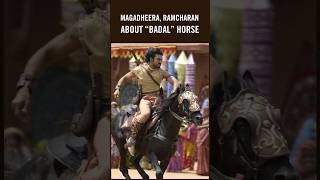 Magadheera RamCharan About “BADAL” Horse 🐎 ramcharan magadheera ssrajamouli [upl. by Akcimehs]