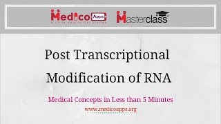 Post Transcriptional Modification of RNA [upl. by Millburn]