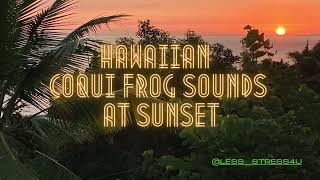 Hawaiian Coqui Frog Sounds at Sunset [upl. by Ynomrah50]