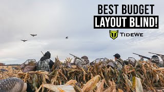 BEST Budget LAYOUT Blind on the Market [upl. by Leeland]