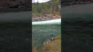 Hidden Waterfall at the swinging Bridge Kootenai Falls Libby Montana [upl. by Clynes296]