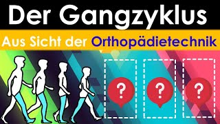 Der Gangzyklus aus Sicht der Orthopädietechnik [upl. by Charley]