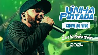 Show AO VIVO Unha Pintada [upl. by Mcgregor]