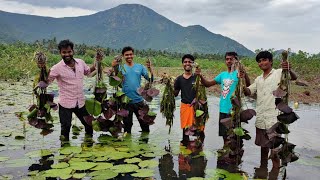 பலரும் அறிந்திடாத அரிய வகை கிழங்கு Prepared Kotti Kizhangu Fry in my Village கொட்டிக்கிழங்கு [upl. by Rudiger]