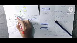 FEMORAL NERVE  ANATOMY  LOWER LIMB IN TAMIL  WITH NOTES [upl. by Bartholomeo]