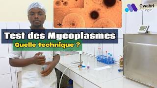 Guide pratique pour détecter Ureaplasma urealyticum et Mycoplasma hominis [upl. by Initof]