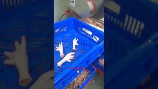 Chicken Feet Cutter rendering machine chicken chickenfeet shorts trending viralvideo cnc [upl. by Aytac]