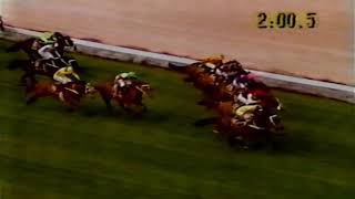 1991 MVRC MOONEE VALLEY W S COX PLATE Day Feature Races [upl. by Anavoj]