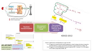 SECONDARY HYPERPARATHYROIDISM MANAGEMENT IN CKD PATIENTS POST TRANSPLANT SITUATIONS DMSEMINARS [upl. by Ramo59]