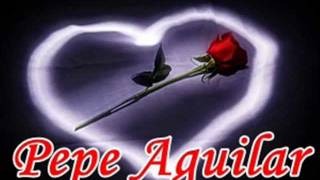 Pepe Aguilar  El Amar Y El Querer [upl. by Av660]